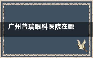 广州普瑞眼科医院在哪个区？越秀|番禺区均有分院，在线预约近视手术